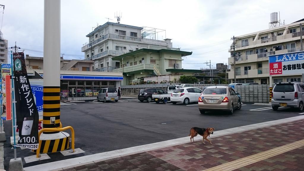 Koza Share House Hotel Okinawa Esterno foto